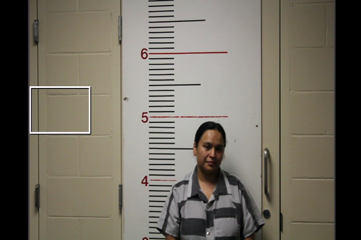 DIAZ, NANCY GOVEA booking photo