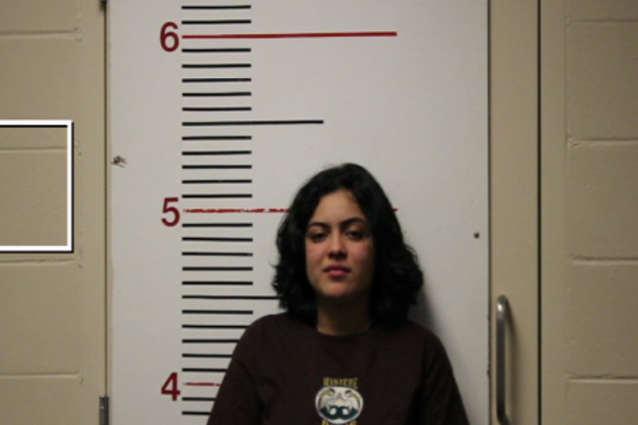 TREJOS ACEVEDO, JOHANA MARIA booking photo
