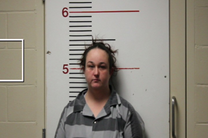 ATWOOD, MEGAN GAIL booking photo