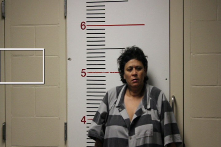 DELEON, MARY ELIZABETH booking photo