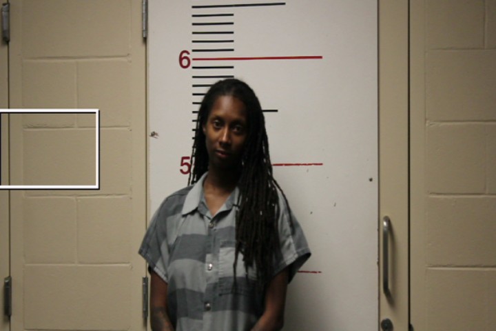 ELLIS, NYKESHIA MARIE booking photo