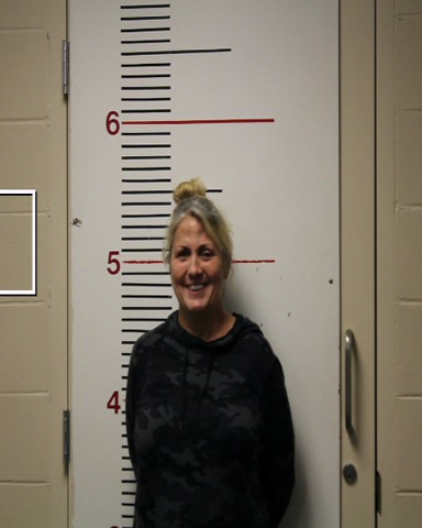 TILLMAN, MICHELE DIANE booking photo