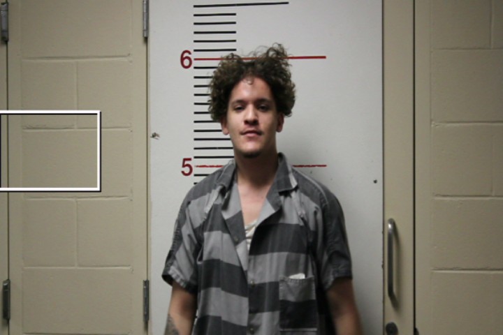 DAVIS, RYLAN PAUL booking photo