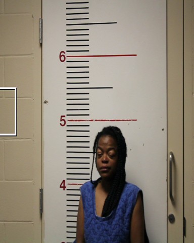 BREEDLOVE, CASSANDRA booking photo