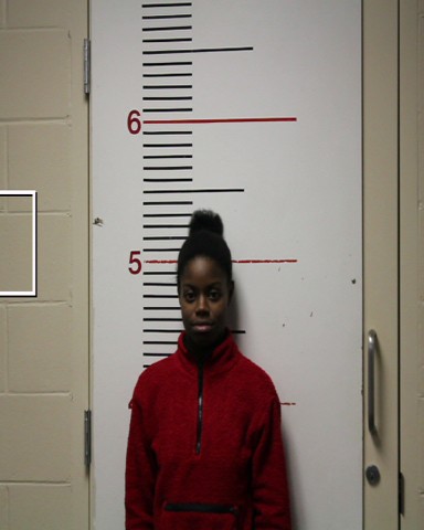 BEAVERS, SHANAE LATRESE booking photo