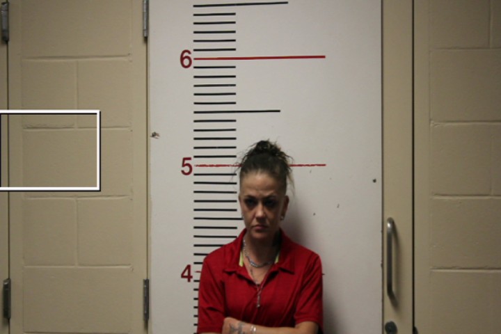 GARDINER, SHAINA CHRISTINE booking photo
