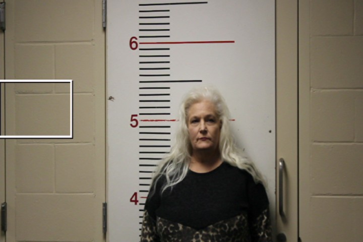 STEWARD, LISA JOY booking photo