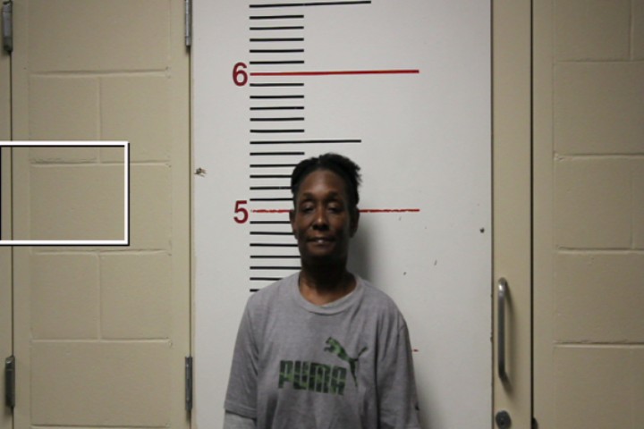 REDIC, SANRONA RENNA booking photo