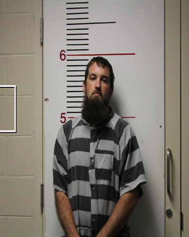 STOVALL, SHAWN DALE booking photo