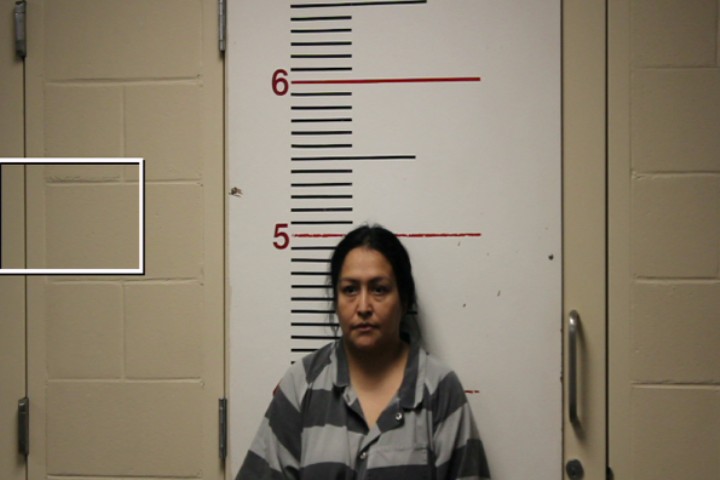 VILLEGAS, NANCY JANET booking photo