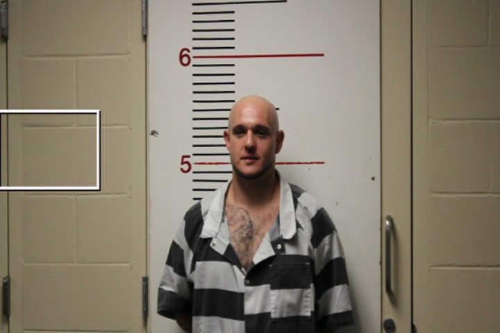 MELSON, JUSTIN DANELL booking photo