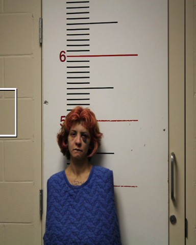 SCHOOLCRAFT, CHRISTIE booking photo