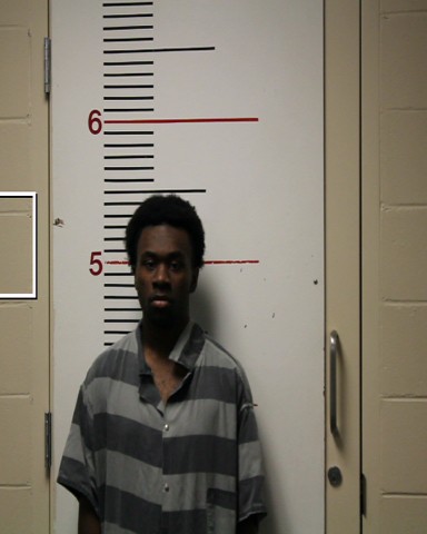 WIGGINS, ALTON, Jr. booking photo