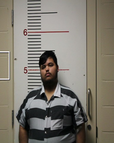 OLGUIN, LUIS ALEJANDRO booking photo