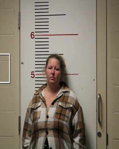 LANDRY, ANNA LOUISE booking photo