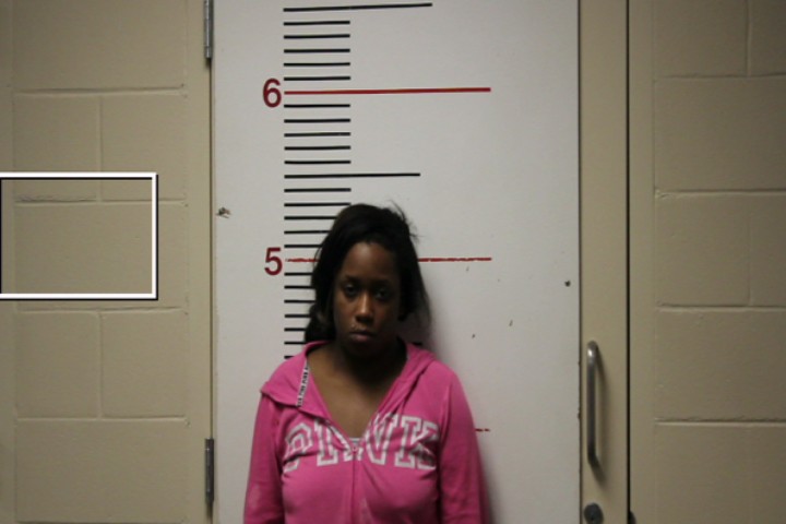 MCEWEN, ELEANA DAWN booking photo