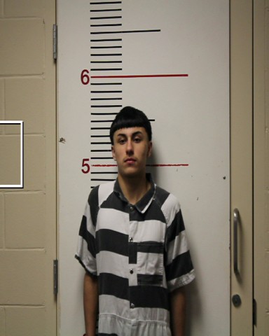 PEREZ, LEON DAVID booking photo