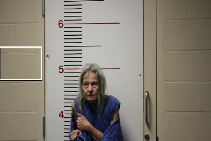 DAVENPORT, VIRGINIA booking photo