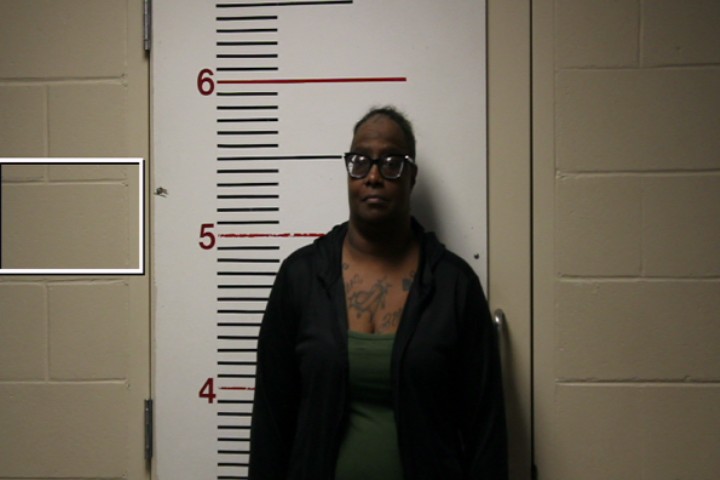 GREEN, TRICIA booking photo