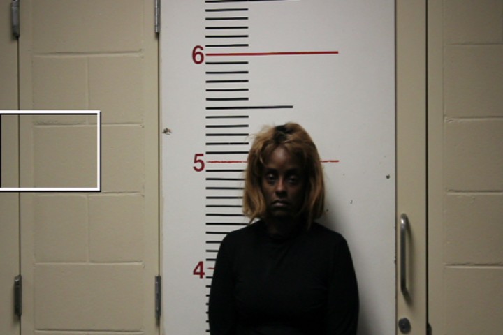 THOMPSON, APRIL DAWN booking photo