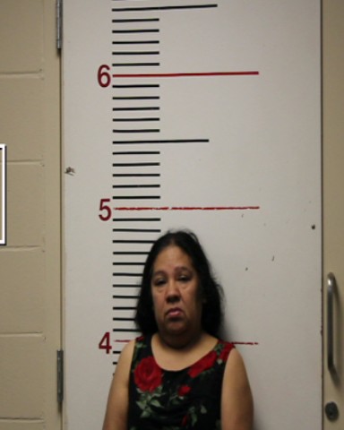VIGIL, HILDA MARIA booking photo