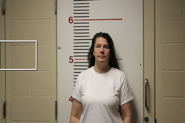 HARRISON, REBECCA LYNN booking photo