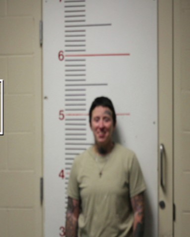 SANCHEZ, BRITTANEY DANAE booking photo
