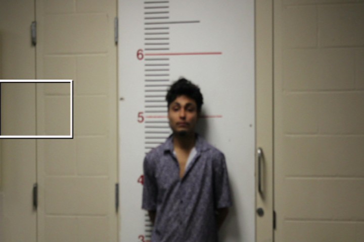LOYOLA, ADRIAN booking photo