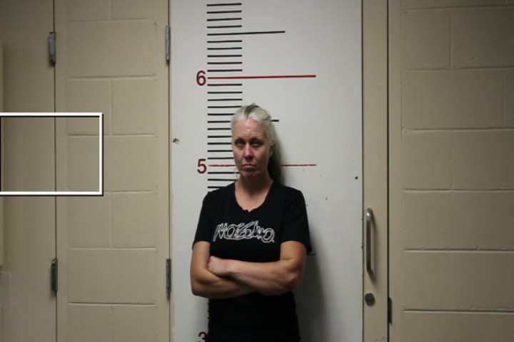 PERRY, AMANDA LYNN booking photo