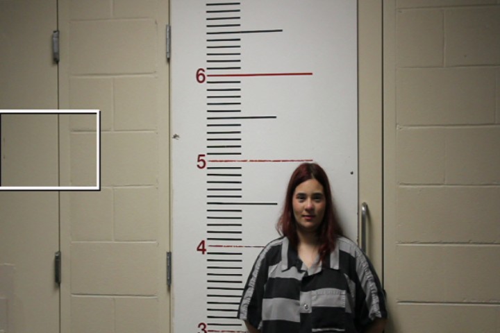 COLEMAN, KIMBERLY ELIZABETH booking photo