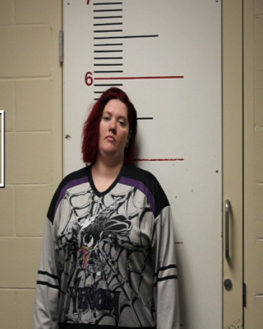 DAVIS, EMILY ANNE booking photo