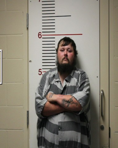 MCCLENDON, DENNISON WAYNE, Jr. booking photo