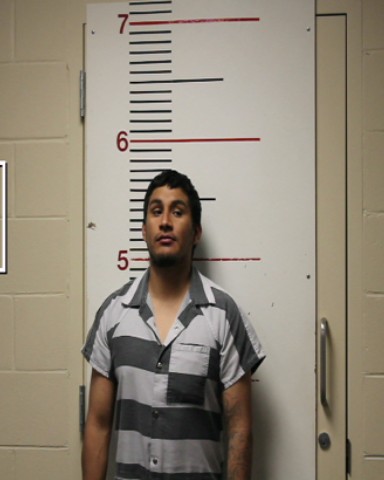 TORRES, MARTIN ROMAN booking photo