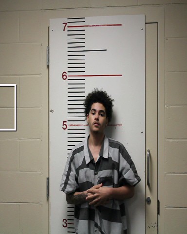 MATHEWS, BRENDEN ANTHONY booking photo