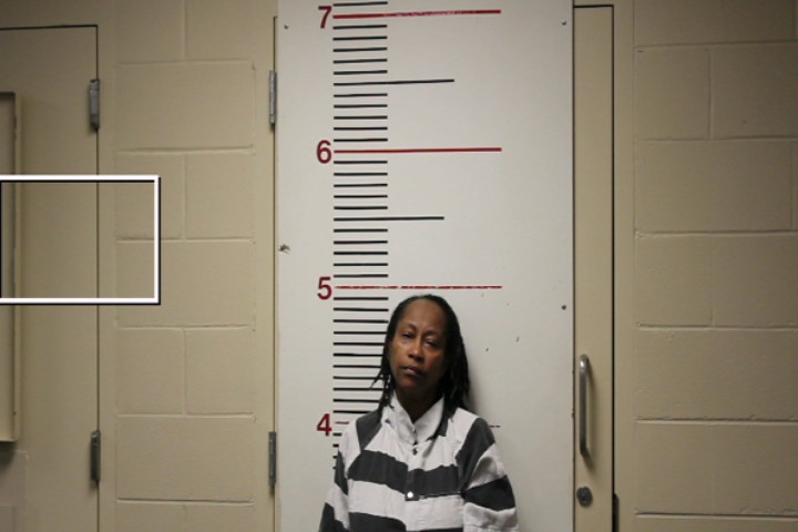 SPENCER, ANNIE DENISE booking photo