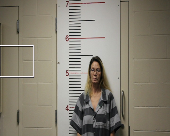 LIVELY, VELVET DENISE booking photo