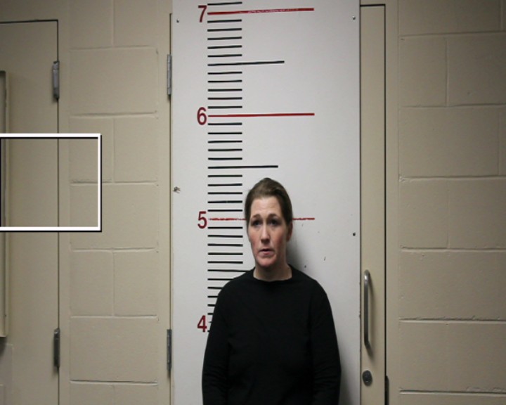 ABBOTT, TANYA NICOLE booking photo