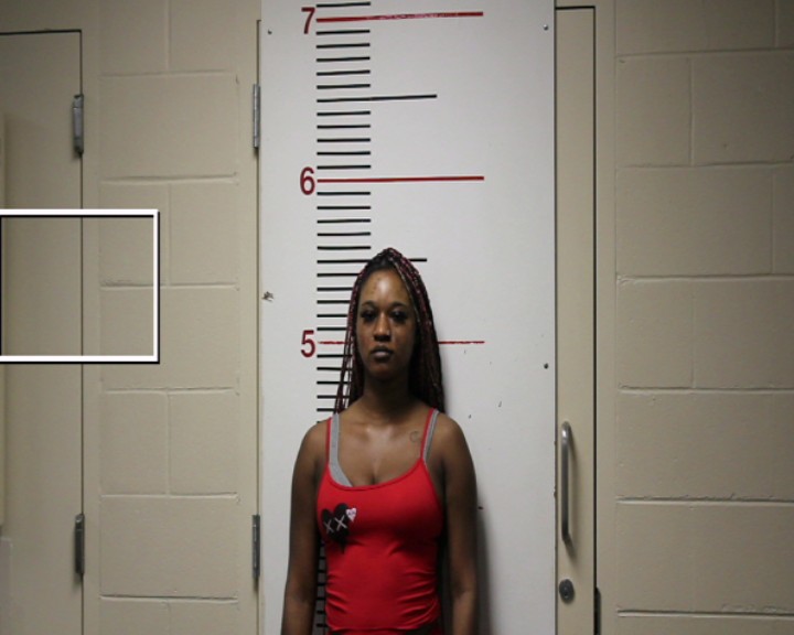 ANDERSON, JERMANI RYAN-ANNETTE booking photo