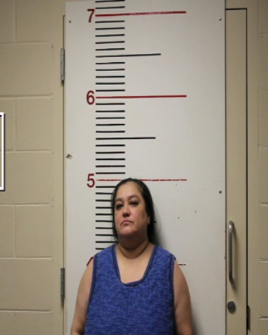 BUSTILLOS, VANESSA booking photo