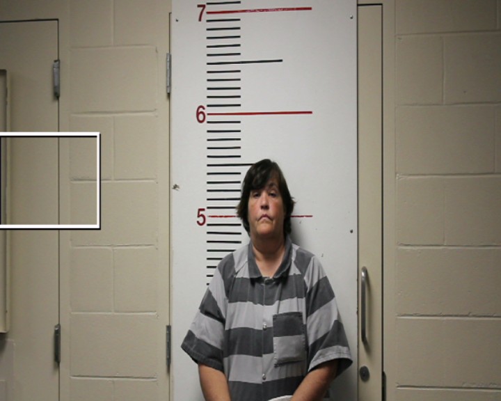 WILSON, SHANNON LEA booking photo