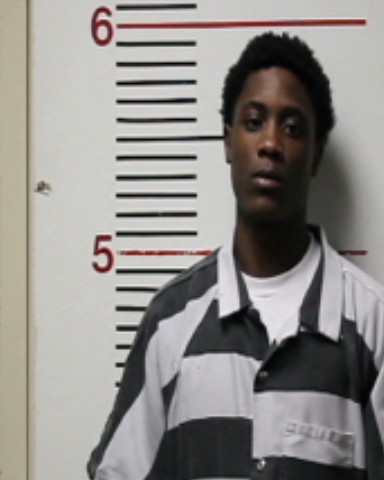 LEWIS, JAMON DAYLEON booking photo