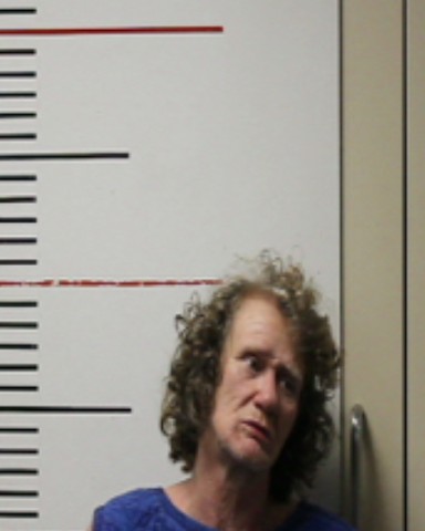 GREEN, SHEILA CORBITT booking photo