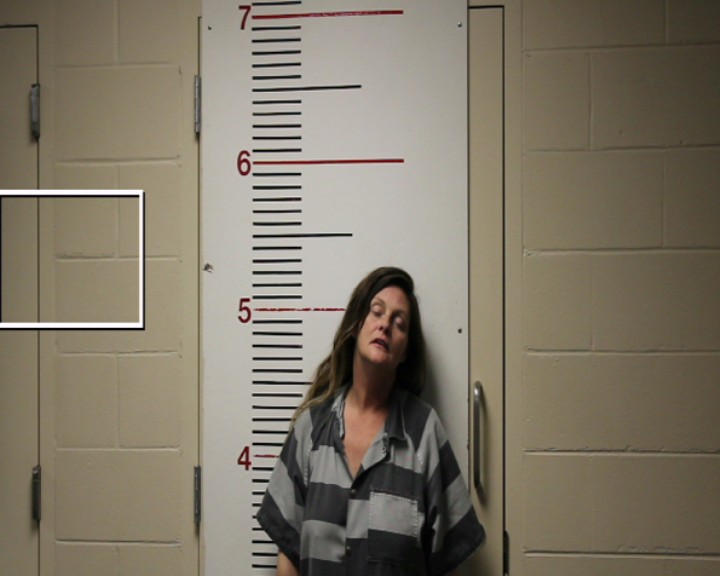 BROOKS, ERIN RAE booking photo