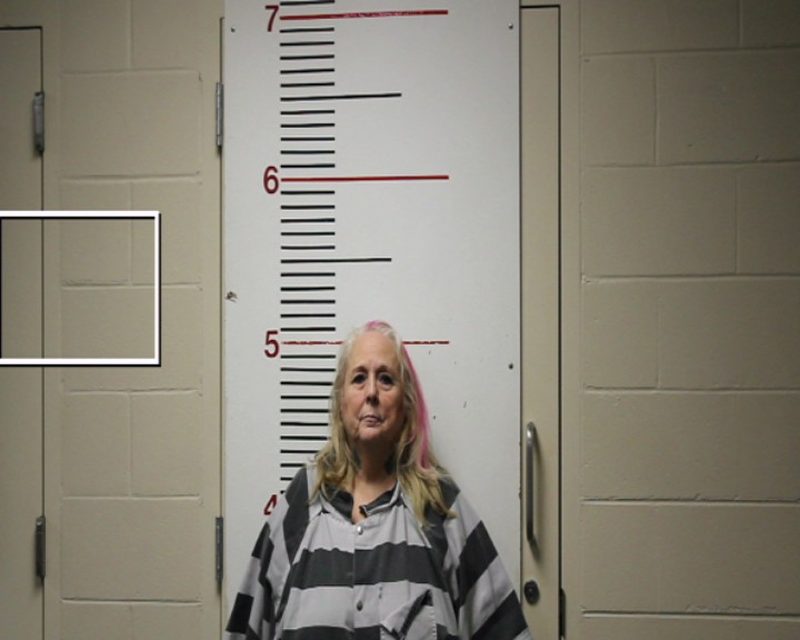 HOLMAN, RENEE BOUDREAUX booking photo