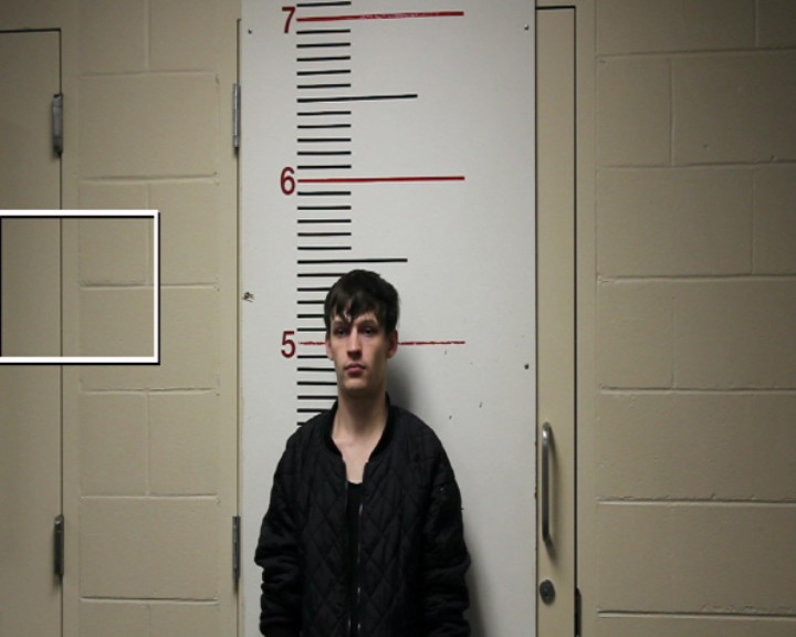 POLK, BRANDON ALEXANDER booking photo