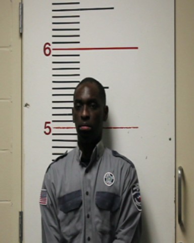 NENE, BITIEZIE booking photo