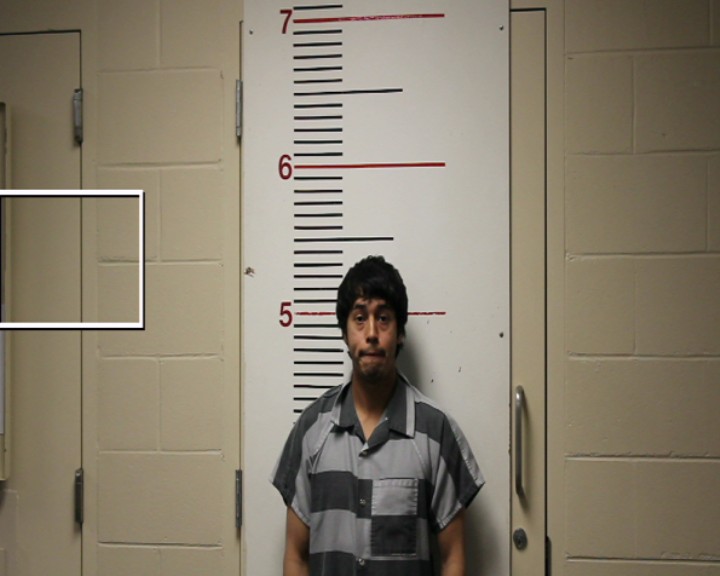 AVILA, PABLO TREJO booking photo