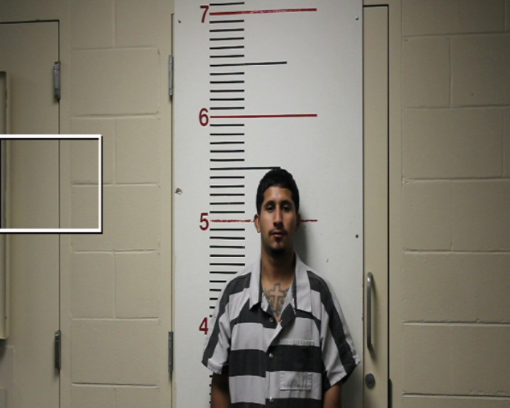 DUARTE, ANDY booking photo