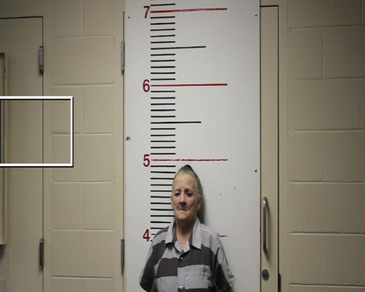 CROMEANS, PATRICIA ANN booking photo