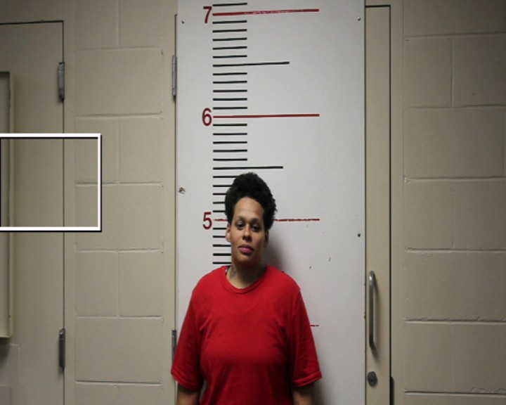 HODGE, JENNEY VICTORIA booking photo